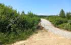 Teren intravilan 3900 mp Porumbacu de Sus, Sibiu - 10