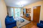 Dristor Baba Novac apartament 3 camere - 2