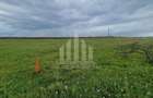 Teren intravilan | De vanzare | 450 mp | 14 ml deschidere | Partos - 3
