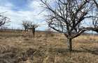 Teren intravilan, 2 x 25 ari, Livada SCPP, Strada Cerbului, Zalău, panoramă - 4