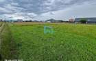 Teren intravilan, 600 mp, Sanpetru, Brasov - 5