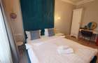 Vila de lux 240 mp ,11 camere, TURNISOR-Sibiu - 11