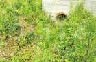 Teren zona de munte 1800 mp, cu apa de izvor, la Somesu Rece - 7