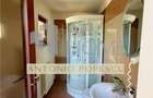 Casa 4 camere plus dependinte, in Ploiesti, zona centrala. - 29