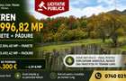 Teren - 5997  mp, Sat. Salistea - 1