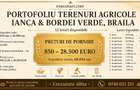 Terenuri agrigole - Ianca si Bordeiul Verde - Braila - 1