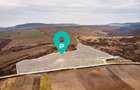 Vie de 115 Hectare în satul Dud, județul Arad - 1