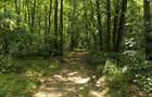 Teren investiție la limita Ilfov, lângă Corbeanca și Paradisul Verde, cu deschid - 4