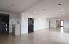 Penthouse generos cu 6 camere, 4 bai | 204mp terasa | 2 garaje - 5