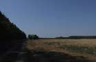 Clinceni-Ordoreanu-padure loturi  733mp - 9