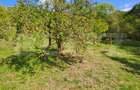 Casă de vânzare, 100 mp, teren 10.000 mp, zona Almașu Mare - 14