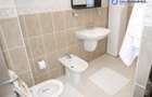 Vila\DS+P+1+M\Titan\Garaj\Curte\Centrala - 10