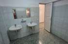 Vanzare Hala 3750 mp   sector 3 Drum intre Tarlale - 6