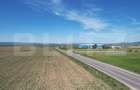 Teren extravilan, 17700mp, zona Prejmer - 4
