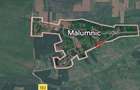  Casă bătrâneasca 1009 mp+ extravilan (6000 mp)de vânzare în satul Malumnic  - 2