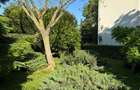 Zona Ghencea Sos Alexandriei Domeniu privat 2090mp cu piscina - 7