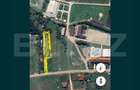 Teren intravilan de 950 mp - Archia, DEVA - 1