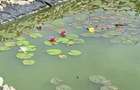 Vânzare Proprietate de excepție cu lac amenajat și pădure proprie | Gura Ocniței - 5