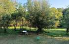 Casa noua cu teren de 3278mp Glodeni Vale-Pucioasa - 11