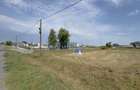 Teren intravilan 1450 mp 397 DN1F - Loc. Ghenci - Jud. Satu Mare - 7