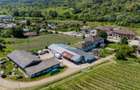 CRAMĂ PREMIUM DE VÂNZARE -60 HA- CONAC ISTORIC- PODGORIA DRĂGĂȘANI - 6