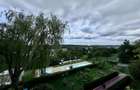 Hotel 20 camere Delta Dunarii 50 m deschidere teren 6000 mp acces auto - 39