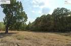 INCHIRIEZ 3.7ha PADURE+anexe pentru AVENTURA Parc, Bucuresti-Vest Padurea Ileana - 1