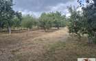 Teren intravilan de vanzare in Alba Iulia - Micesti - 4
