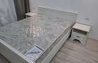 Platinum Residence, zona Mall Coresi, apartament cu doua camere de inchiriat - 12