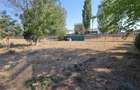 Proprietate industriala Podari – 2 hale (344 mp) + teren 2.515 mp - 14