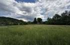 Teren plat-intravilan -3800 mp, cu pădurice și ieșire la râu! - 14