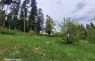 Teren intravilan de vanzare in Busteni - 3