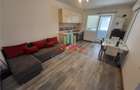 Inchiriere apartament Rezervelor LIDL MT - 3