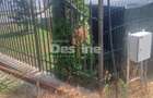 TEREN intravilan  Balciu - MIROSLAVA , 709 MP, 77.990 EURO - 4