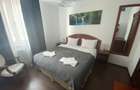 Pensiune 7 camere plus apartament zona Platos Paltinis - 8