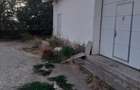 Hala - Valu lui Traian - 165.000 euro  (Cod E6) - 7