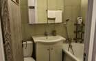 Apartament 2 camere decomandat Raul Doamnei, Drumul Taberei - 9