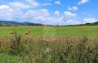Parcele teren 4038 mp - Parcelabil - Zona Valea Stanelor - 2