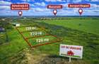 Loturi teren Intravilan –Balotești | 720 mp | Utilitati  I 60 €/MP - 2