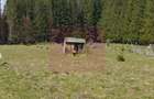 Teren intravilan 2500 mp in Valea Doftanei - 3