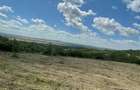 RECO Teren Extravilan Podgoria Oradea - 1