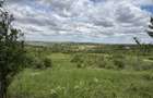 TEREN INTRAVILAN  |  1.824 MP  |  DEALURI  |  ORADEA - 1