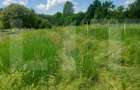 Casă solidă, teren de 2.800 mp cu livada - Aninoasa - 2