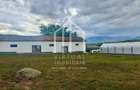 2 hale/depozite, 1850mp, deschidere 35m - Vestem