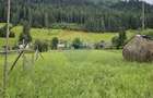 Casa 225 mp, teren intravilan 4822 mp C. Moldovenesc, Suceava - 9