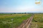 2 terenuri intravilane construibile aproape de Sfantu Gheorghe - 14