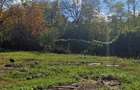 Vanzare teren intravilan  5000 mp, Bucium, 50ml front stradal, P.F. - 1