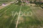 Teren intravilan 2000 mp si extravilan 1150 mp de vanzare in Vad - 3