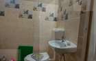 Casă autentică  3.100 mp teren, livadă si parau I Lisnau - 9