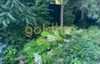 CASUTA DIN POVESTI/CURTE 1100MP/GRADINA MAGICA/SAUNA/PISCINA/SNAGOV - 39